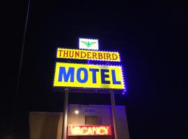 Thunderbird Motel Las Vegas/ New Mexico，位于拉斯维加斯的低价酒店