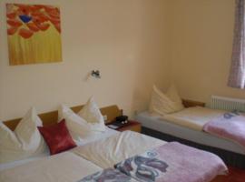 Hotel Bergkristall，位于Schwarzenberg am Bohmerwald的酒店