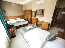 Fatsa Safi̇r Otel，位于Fatsa的酒店