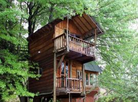 Sycamore Avenue Treehouses & Cottages Accommodation，位于Windy的山林小屋