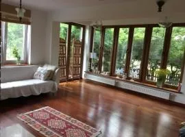 Lake view house