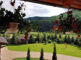 Pensiunea Putnisoara，位于Putnişoara的酒店