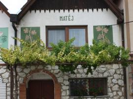 U Mateje Pasohlavky，位于帕索尔维基的酒店