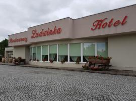Hotel Ludwinka，位于Pleszew的酒店