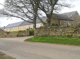 Hamsteels Hall Cottages，位于Langley Park的度假屋