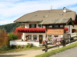 Pension Rastnerhof，位于卢松的酒店