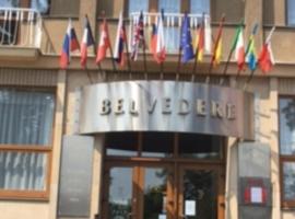 Hotel Belvedere Příbram，位于普日布拉姆的酒店