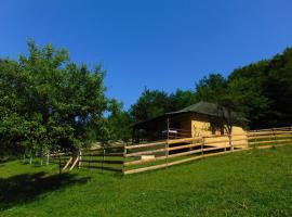 Forest Lodge on the Pyramid，位于维索科的山林小屋