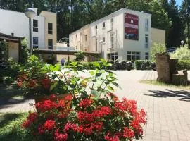 斯塔德特沃德酒店，位于特里尔的低价酒店