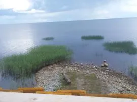 Tammispää Camping