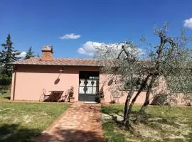 Agriturismo Il Loghino