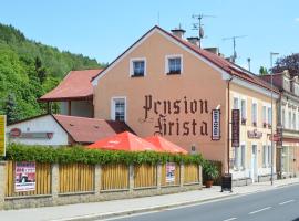Pension Krista，位于Kraslice的酒店