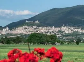 Camere Mariella
