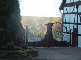 Gîte Découverte Alsace