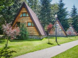 Domki Czarny Groń，位于日基的酒店