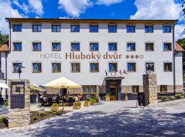 Wellness Hotel Hluboký Dvůr，位于Hrubá Voda的酒店