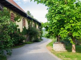 Turistična kmetija Vrezner Apartment，位于Zgornja Kungota的酒店