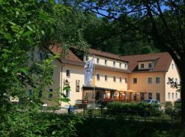 Parkhotel Lauenstein，位于Lauenstein的酒店