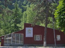 RiverSide Hostel Borjomi，位于博尔若米的青旅