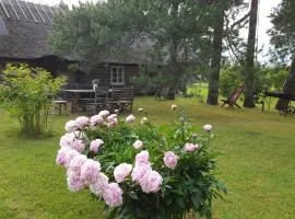 曼尼夏季度假屋