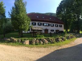 Turistična Kmetija Toman，位于Gornji Grad的农家乐
