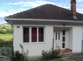 Apartments Suzana，位于查普利纳的酒店