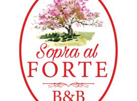 sopra al FORTE，位于奎瑟塔的家庭/亲子酒店