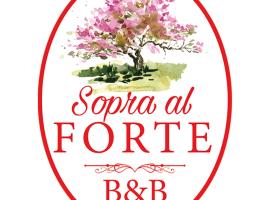 sopra al FORTE，位于奎瑟塔的酒店