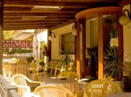 Hotel Viola，位于卡拉马尼科泰尔梅的酒店