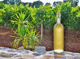 Trulli Cicerone，位于奇斯泰尼诺的酒店