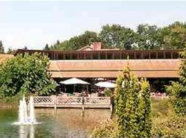 Waldhotel Gesundbrunnen，位于诺特海姆的酒店