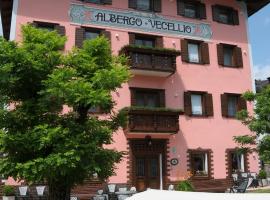 Albergo Vecellio，位于奥伦佐卡多利的酒店