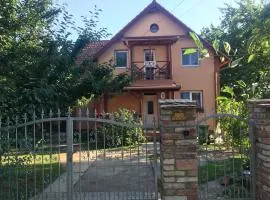 Transilvania Apartman