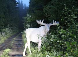 Lövås Gård Koppera，位于夏洛滕贝格的酒店