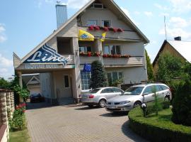 Guest House Linas，位于阿利图斯的酒店