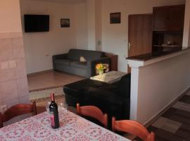 Apartmani Peko，位于帕格的酒店