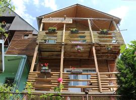 Chalet Ljubicine kolibe，位于Golubinje的酒店
