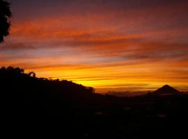 Bajawa-Roo Hotel