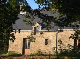 Kerollivier