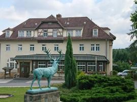 Parkhotel Forsthaus，位于萨兰德特的酒店