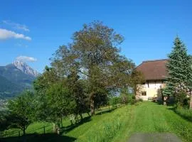Chalets Alpin Kronhof