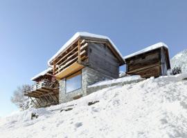 Chalet Le Biolley，位于奥西耶尔的酒店