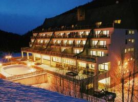 Wellness&Sport Hotel Šumava，位于卡什佩尔斯凯霍里的酒店