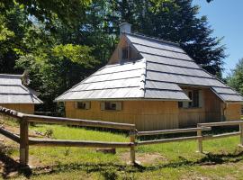 Koča Predilnica Velika Planina，位于Kamniška Bistrica的山林小屋