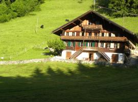 Spacious Swiss Alpine Chalet for Nature Lovers，位于瓦尔·蒂利兹的酒店