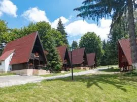 Centrul de Echitatie Poiana Brasov