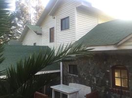 Cabañas Alta Vista，位于皮奇勒姆的酒店
