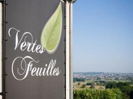 Vertes Feuilles，位于Saint-Sauveur的酒店