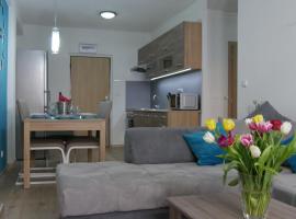 Všemina Apartman，位于Lužkovice的酒店
