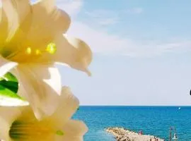 Al Giglio - Affittacamere